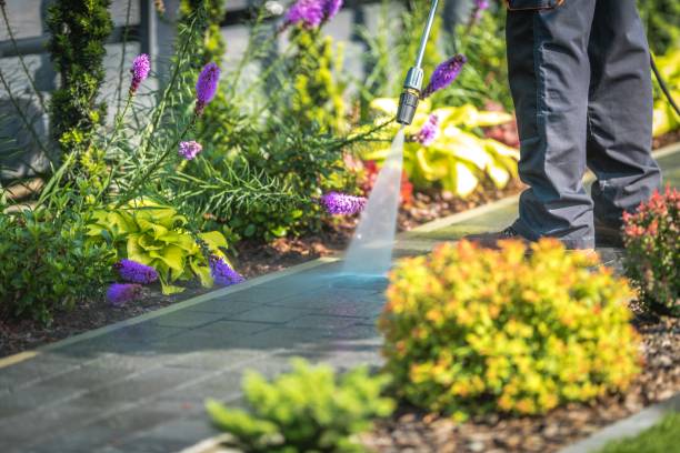 Best Concrete Surface Cleaning in North Fond Du Lac, WI